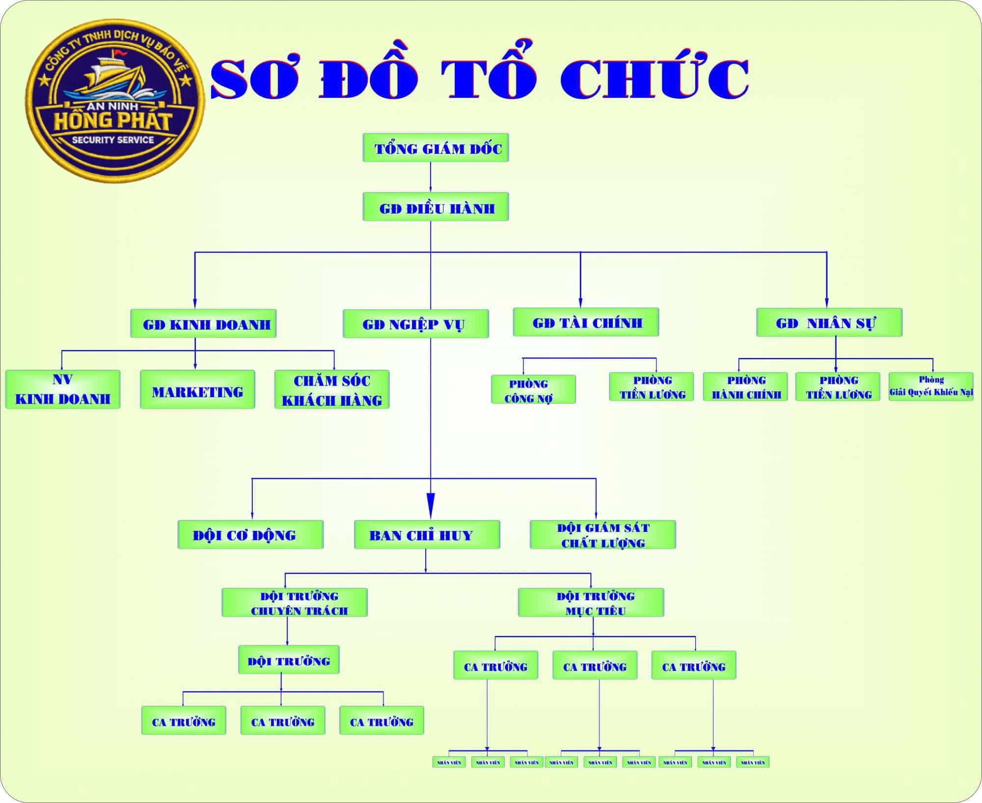 Sơ Đồ Tổ Chức